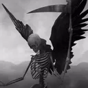 xdreymar