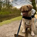 emma_vde