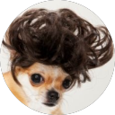 msh2k-1285914894838923294