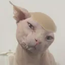 eatnut