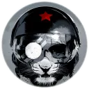 all3ycat_uk