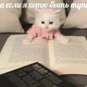 kt0ns