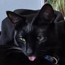 mercury.de.milo