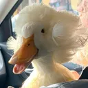 plumbus