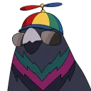 pigeonstudios