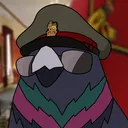 pigeonstudios