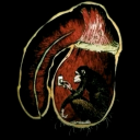 avatar GangsterJackass246