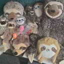 sloth1432