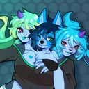 catccoon115