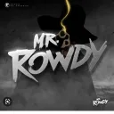 rowdy8587