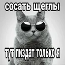 h2fox333