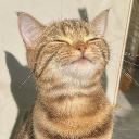 avatar Mochi de fresa