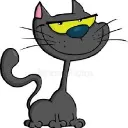 vatocat