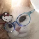 enozia