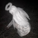 avatar ignorance ♱