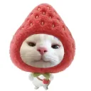 rebannie