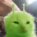 venomsparkplays avatar