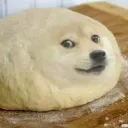 mattrobby