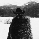 avatar amor vincit omnia