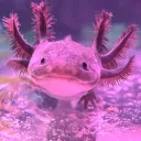 beesimps