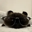 bakaraboy