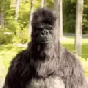 zopply