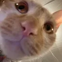 cooks_gaming