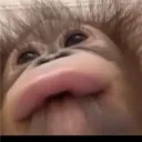 araneth0n