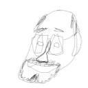 piotryako