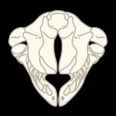 televeris