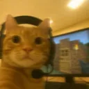 LUWI's Avatar