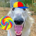 snoopabop avatar