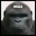jscaletta