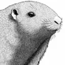 rgnter