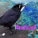 digiradbird