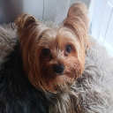 avatar Grim Hope of a new dawn