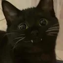 vdeesse