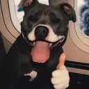 zwillig96 avatar