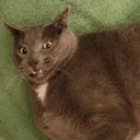 aalaynamariie