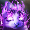 langley_min_seo#5236's avatar