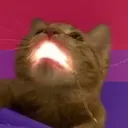 333blazecat