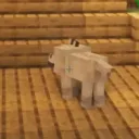 dpdog