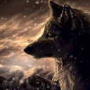 glaiz28wolf