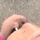 dogintheboiler