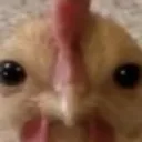 thy_koosk