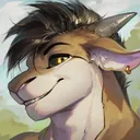 denverxik_