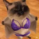 sushxmit