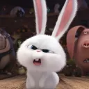 the_rabit