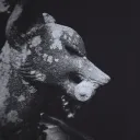 centradogma