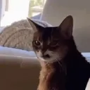 julesbousrez